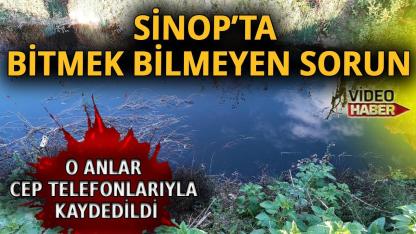 Sinop’ta çevre sorunu