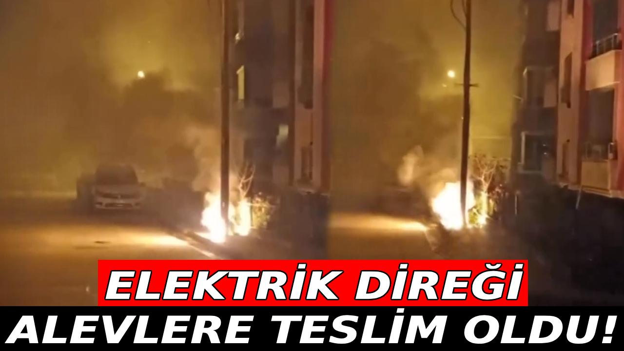 Sinop&#039;ta elektrik direğinde korkutan yangın