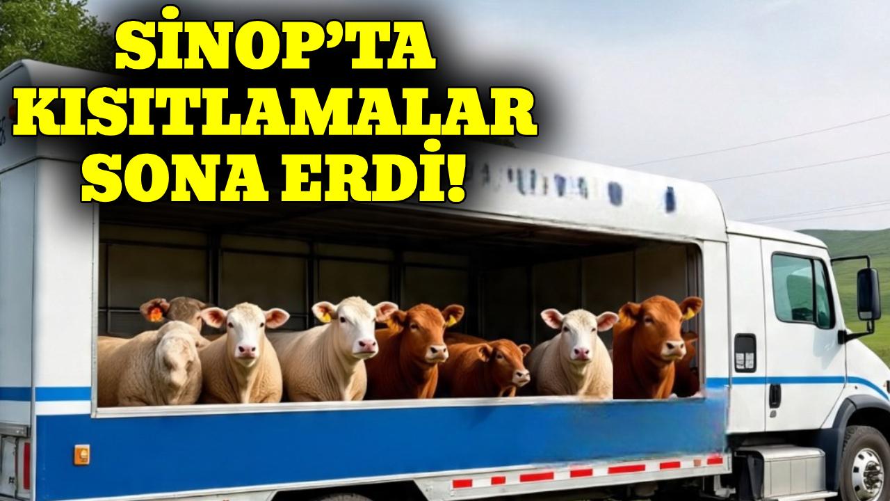 Sinop’ta hayvan hareketi kısıtlamaları kaldırıldı