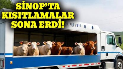 Sinop’ta hayvan hareketi kısıtlamaları kaldırıldı