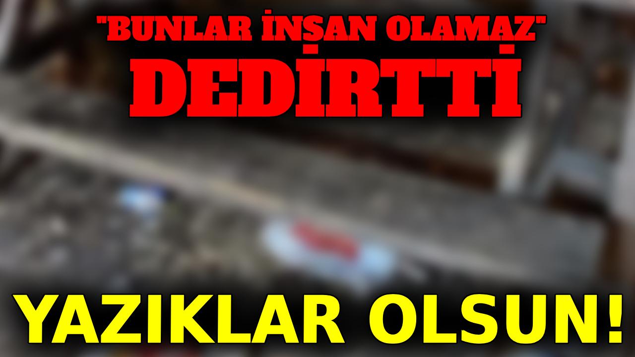 Sinop&#039;ta isyan ettiren manzara!