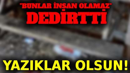 Sinop'ta isyan ettiren manzara!