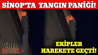 Sinop'ta korkutan yangın
