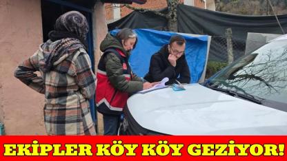 Sinop'ta köylerdeki sahipli köpekler mikroçiple kimliklendiriliyor