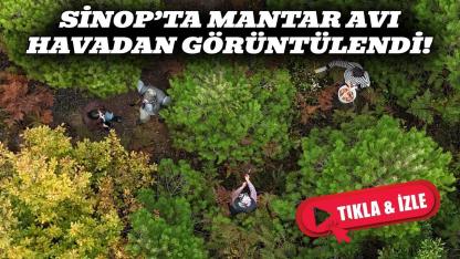 Sinop'ta mantar avcıları iş başında
