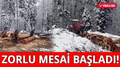 Sinop'ta orman köylülerinin zorlu kış mesaisi başladı