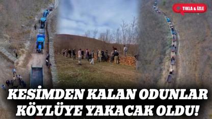 Sinop'ta orman köylüsüne kış öncesi destek