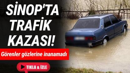 Sinop'ta kontrolden çıkan otomobil su birikintisine saplandı