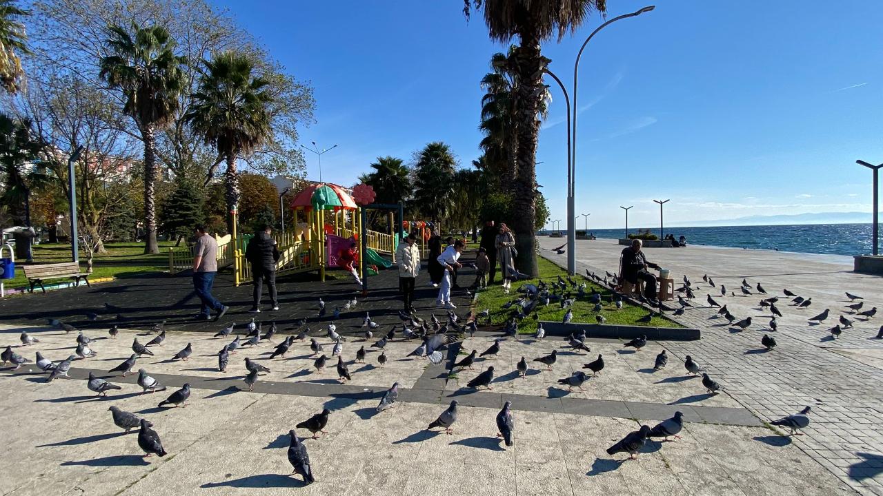 Sinop’ta yağmur sonrası güneş keyfi