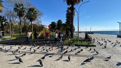 Sinop’ta yağmur sonrası güneş keyfi