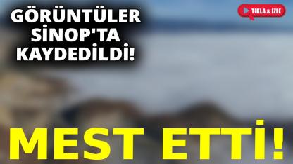 Sinop'tan büyüleyici görüntüler!