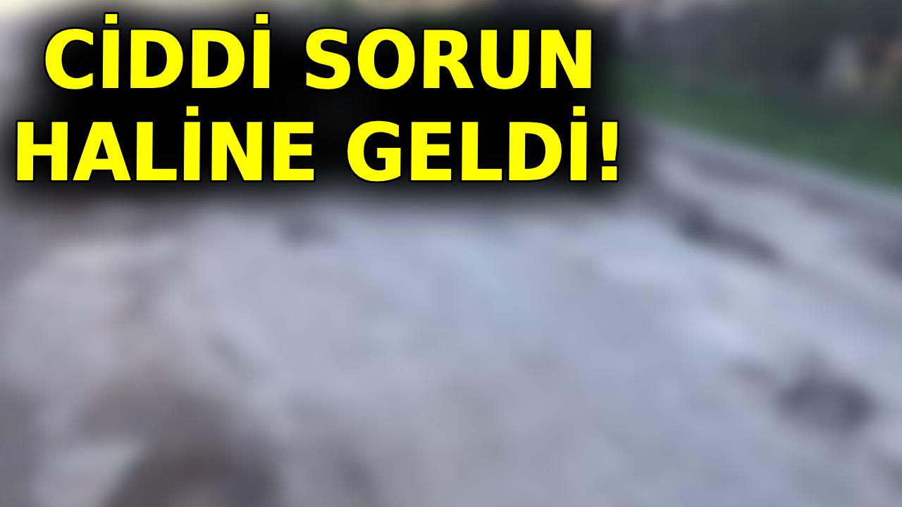 Survivor parkuruna döndü!