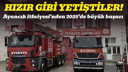 Ayancık'ta itfaiye ekipleri geçen yıl 160 olaya müdahale etti