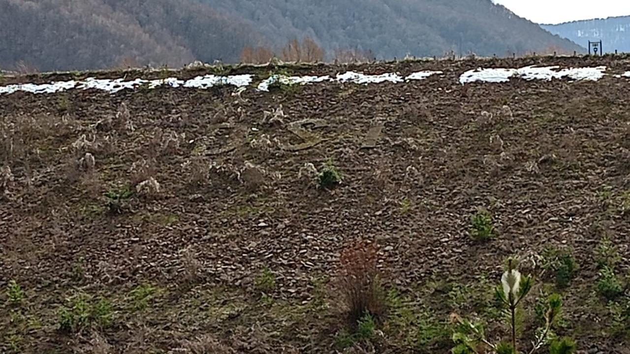 Dev yazı zamana yenik düştü