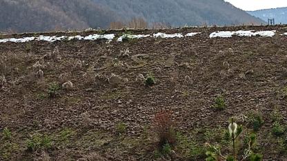 Dev yazı zamana yenik düştü