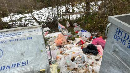 Devrilen konteynır ormanı çöpe boğdu