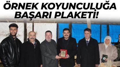 Devlet desteği karşılıksız kalmadı: O üreticiler ödüllendirildi