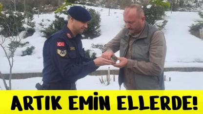 Jandarma Ekipleri Yaralı Kuşa Umut Oldu
