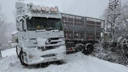 Sinop’ta kayan tır ulaşımı aksattı
