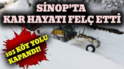 Sinop'ta kar ulaşımı engelliyor