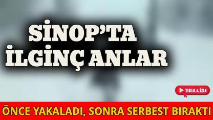 Vatandaşın yaban domuzu müdahalesi olay oldu