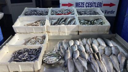 Sinop’ta balık tezgahlarında son durum