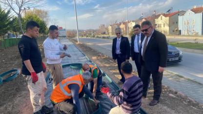 Gerze Belediyesi’nden yeşil alan atağı: Çalışmalar yerinde denetlendi