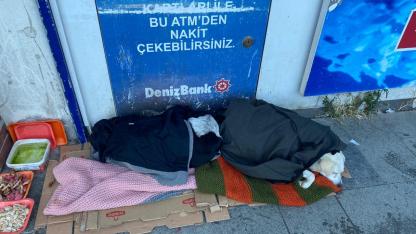 Sinop’ta sokak hayvanlarına yardım endişe yarattı