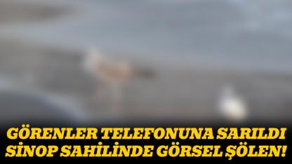 Bakmadan geçmeyin! Sinop’un kalbinde mest eden görüntüler