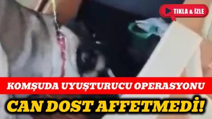 Tırda metamfetamin ele geçirildi