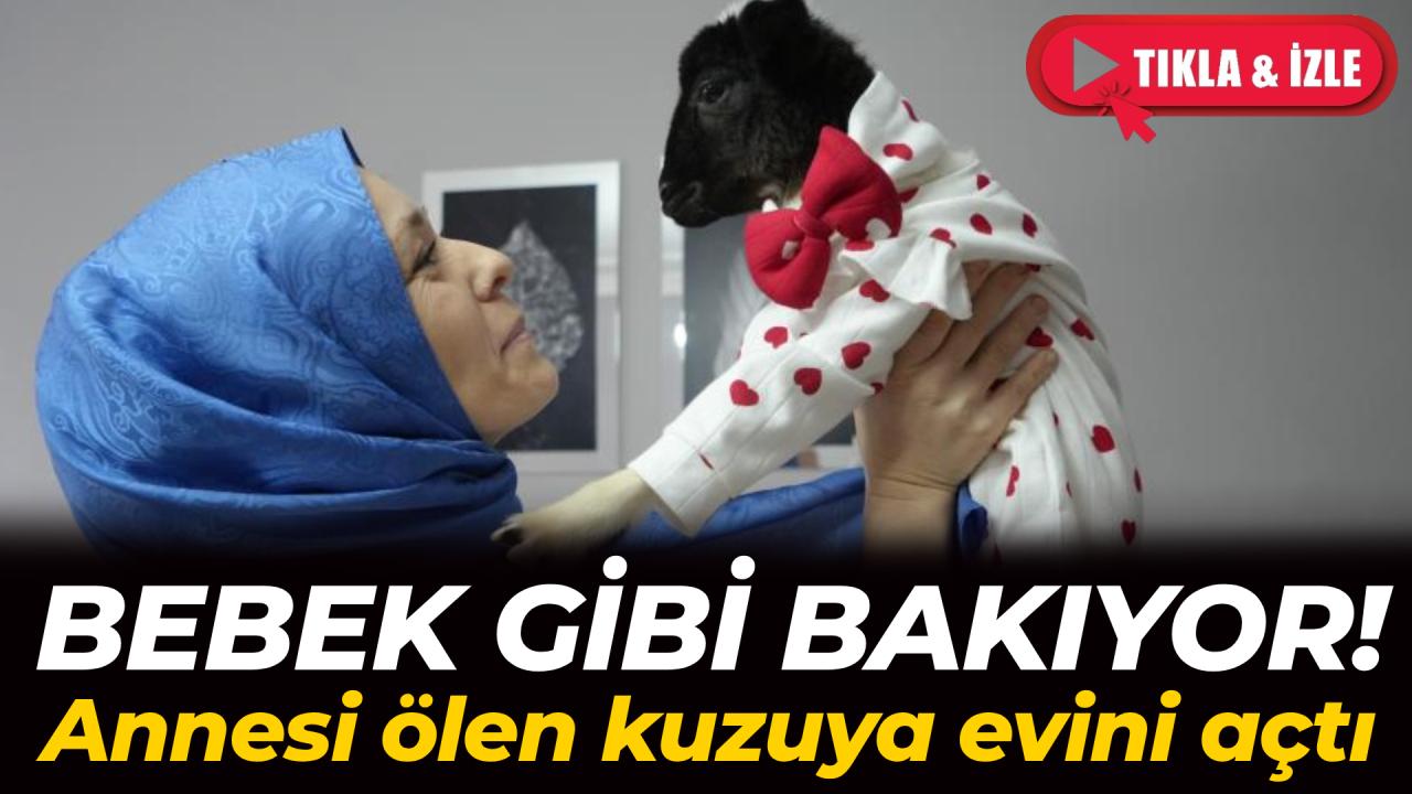 Şefkat dedikleri şey bu olsa gerek