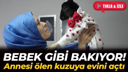 Şefkat dedikleri şey bu olsa gerek