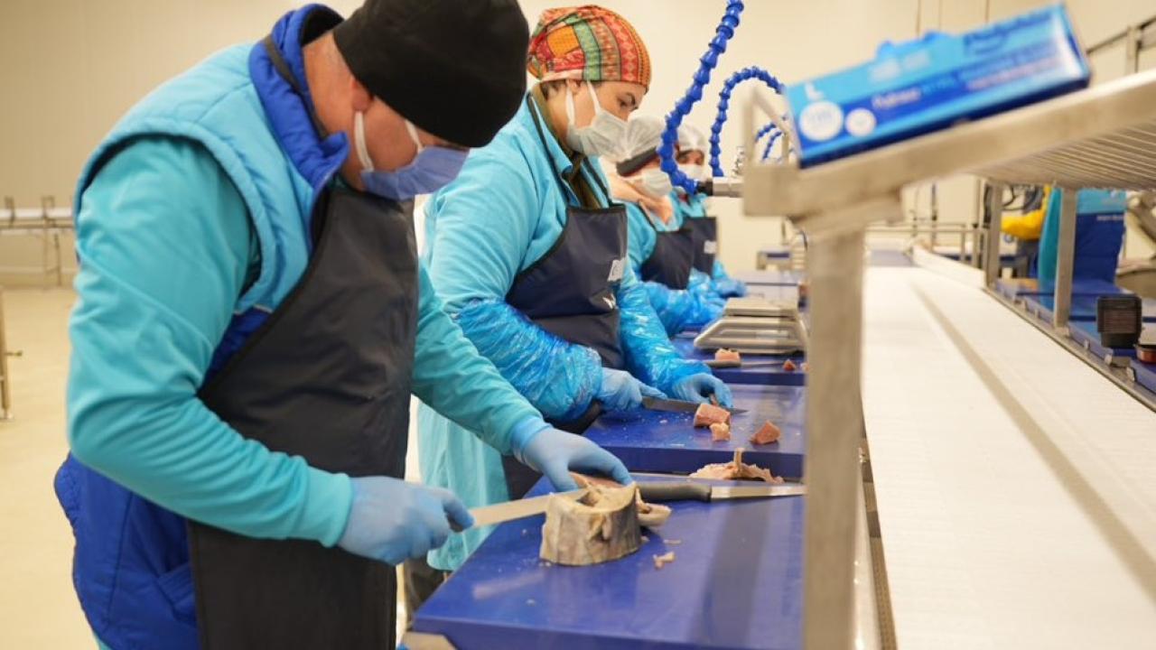 Sinop 2025’te ihracatta vites yükseltti