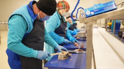 Sinop 2025’te ihracatta vites yükseltti