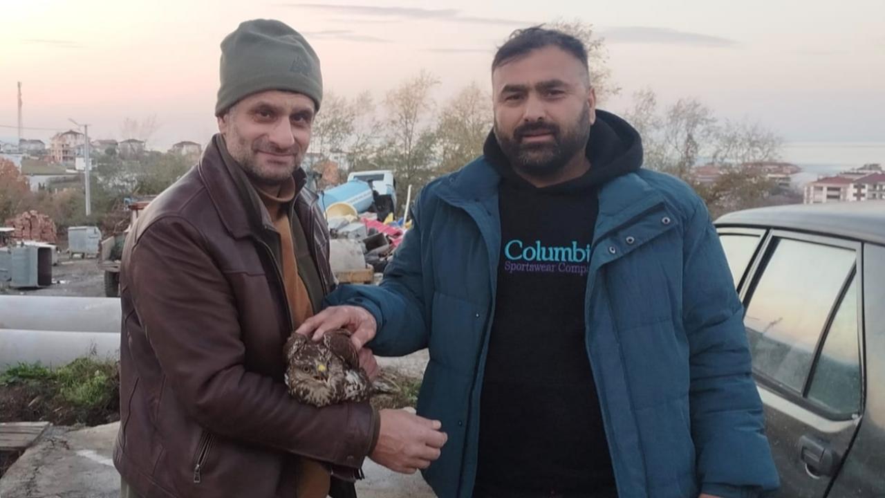 Sinop yolunda bulundu, koruma altına alındı