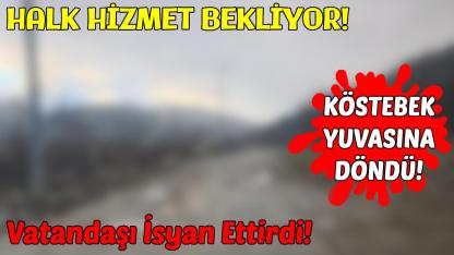 Sinop'ta bozuk yol sürücüler için kabus oldu