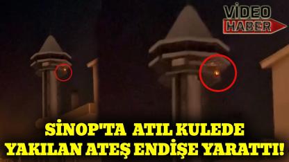 Sinop'ta kaderine terk edilen kulede endişe veren görüntüler