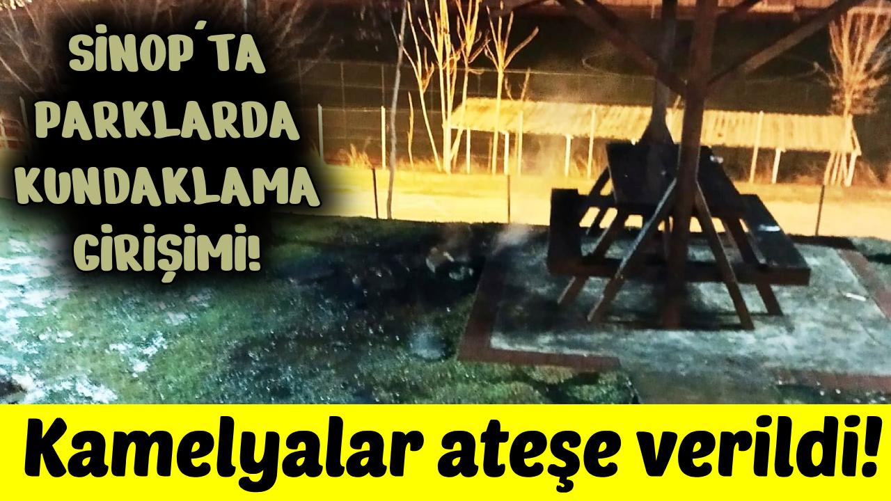 Sinop'ta kamu malına çirkin saldırı