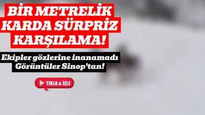 Zorlu mesaide beklenmedik misafir