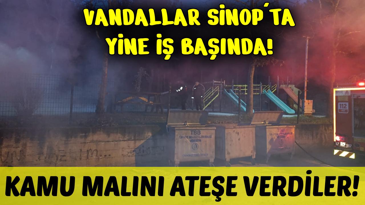 Sinop'ta parktaki kamelyalar ateşe verildi