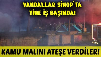 Sinop'ta parktaki kamelyalar ateşe verildi