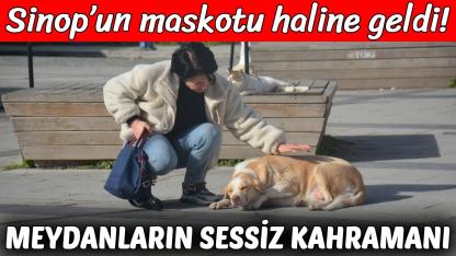 Sinop’ta sokak köpeği Çakır kentin simgesi oldu