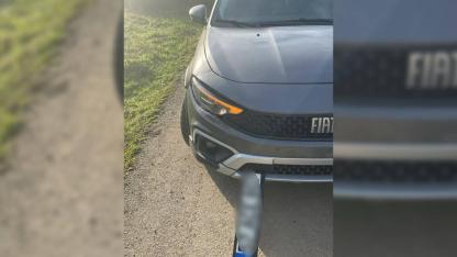 Sinop’ta trafik kazası: Otomobil köpeğe çarptı