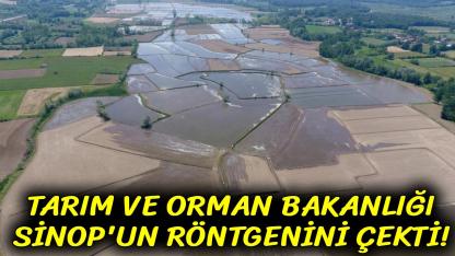 Sinop'un tarım rehberi açıklandı
