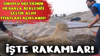 TMO beklenen çeltik alım fiyatlarını açıkladı