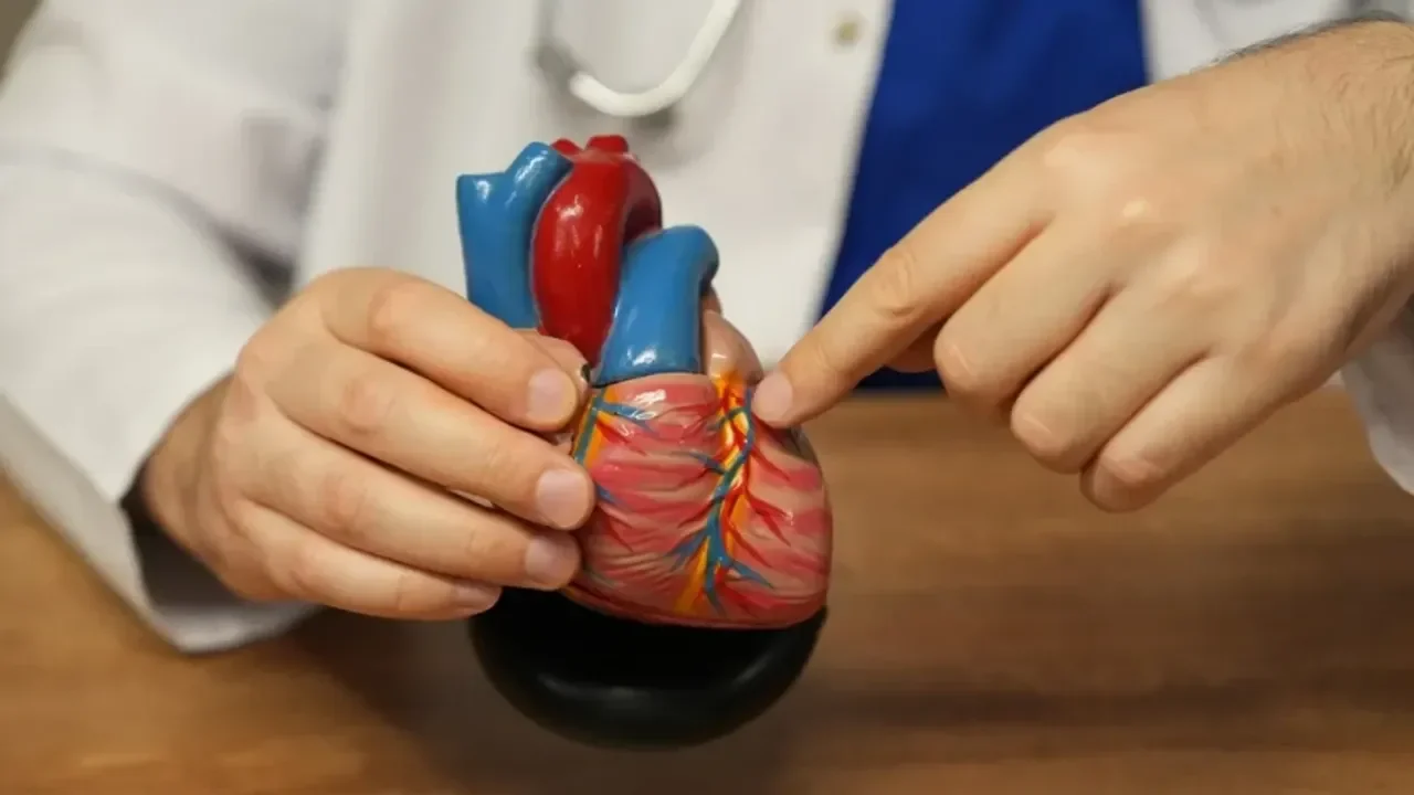 Uzmanlar uyardı: "Plastisite sağlığı tehdit ediyor