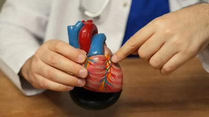 Uzmanlar uyardı: "Plastisite sağlığı tehdit ediyor