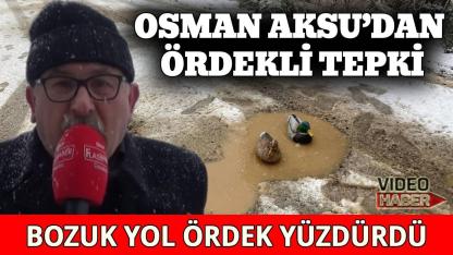 Yol gölete dönünce ördekler sahaya indi