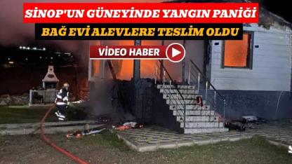 Bağ evi alevlere teslim oldu