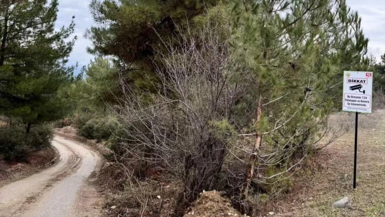 Boyabat’ta ormanlar foto kapan kameralarla 7/24 izlenecek
